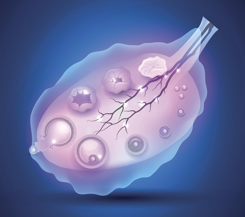 泰国哪家做三代试管婴儿医院好